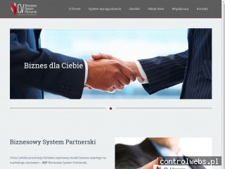 Biznesowy system partnerski