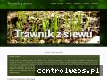 Screenshot strony www.trawnikzsiewu.pl