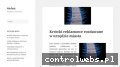 Screenshot strony www.alufast.pl