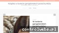 Screenshot strony turbo-bud.pl