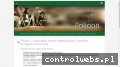 Screenshot strony www.poligon.info.pl