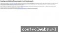 Screenshot strony www.dachywarszawa.biz.pl
