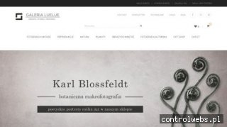 Fotografie na płónie