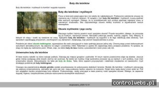 Obuwie, buty damskie