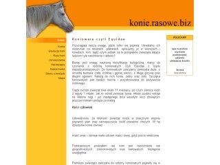 Konie