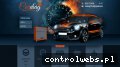 Screenshot strony cardiag24.pl