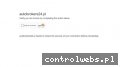 Screenshot strony autobrokers24.pl