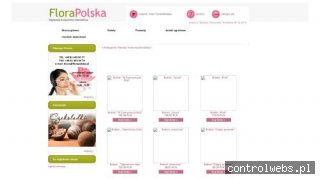 Serwis techniczny galerii handlowych