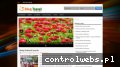Screenshot strony www.locaclub.pl