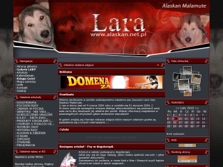 Alaskan Malamute - LARA - psy północy