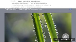 Kancelaria Adwokacka Adwokat Michał Świąder