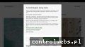Screenshot strony www.shwrm.pl