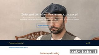 SMT Praca na statkach trójmiasto