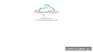 organizacja ślubów - wspanialewesele.pl