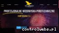 Screenshot strony www.pol-expance.pl