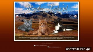 Wonder Lake*PL - Hodowla Kotów Rasowych Maine Coon