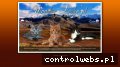 Screenshot strony wonderlake.pl