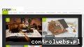 Screenshot strony finanfox.pl