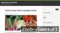 Screenshot strony kwiaciarniainternetowa.com.pl