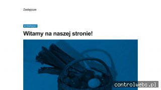 www.zastepcze.info.pl