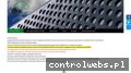 Screenshot strony dkv.com.pl