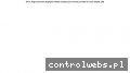 Screenshot strony www.polski-euro.biz