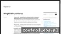 Screenshot strony www.tapczan.eu