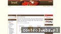 Screenshot strony eco-serwet.pl