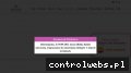 Screenshot strony anlaya.pl