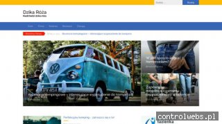 Kwiaciarnia Dzika Róża