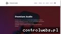 Screenshot strony www.audiovintage.com.pl