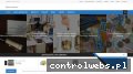Screenshot strony www.pitfree.pl