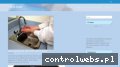 Screenshot strony one-med.pl