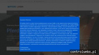 PFERD-VSM pilniki warsztatowe