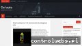 Screenshot strony celauto.pl