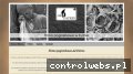 Screenshot strony zakladpogrzebowykutno.pl
