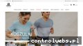 Screenshot strony salonklimczok.pl
