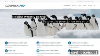 Piotr Czarnecki - Konsultant SEO