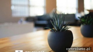 ZIELONY KĄT drabinki bambusowe mazowieckie