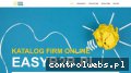 Screenshot strony easyb2b.pl