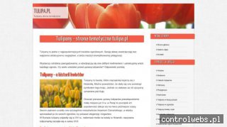 Cebule tulipanów