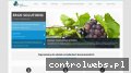 Screenshot strony www.ergosol.pl