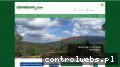Screenshot strony dzwigowe.com