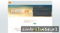 Screenshot strony erekcja.co