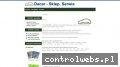 Screenshot strony www.dacarvaleo.pl