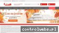 Screenshot strony lech-pol.eu