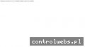 Screenshot strony pradex.pl