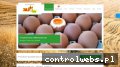 Screenshot strony jajolux.com.pl