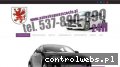 Screenshot strony autoskupwszczecin.pl