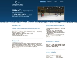 Lodowisko w Dębicy - nieoficjalna strona